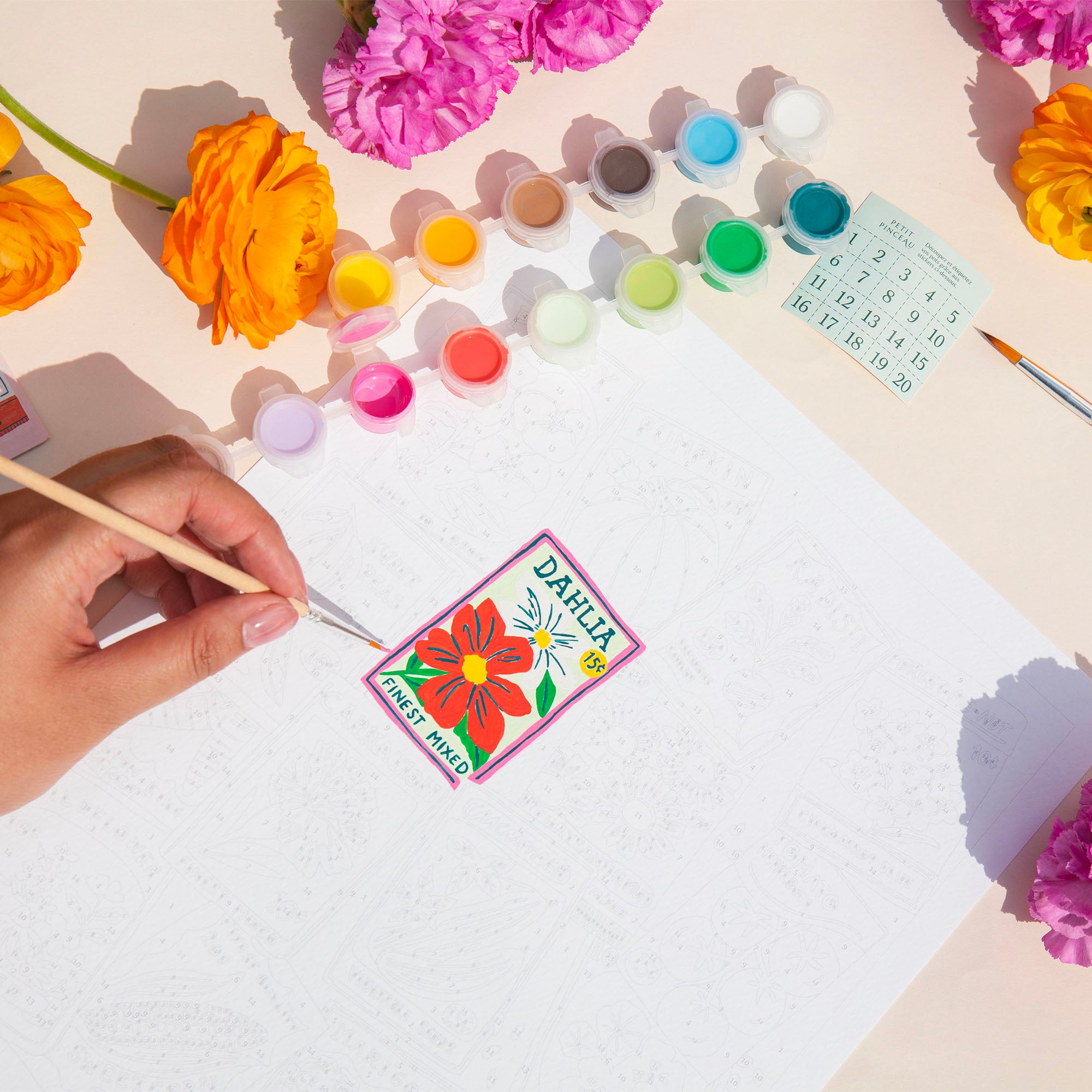 Kit de peinture au numéro - Seed Packets