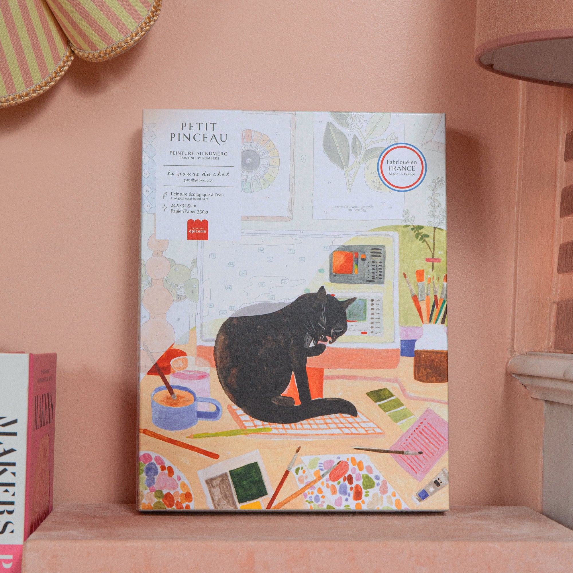 Kit de peinture au numéro - La pause du chat