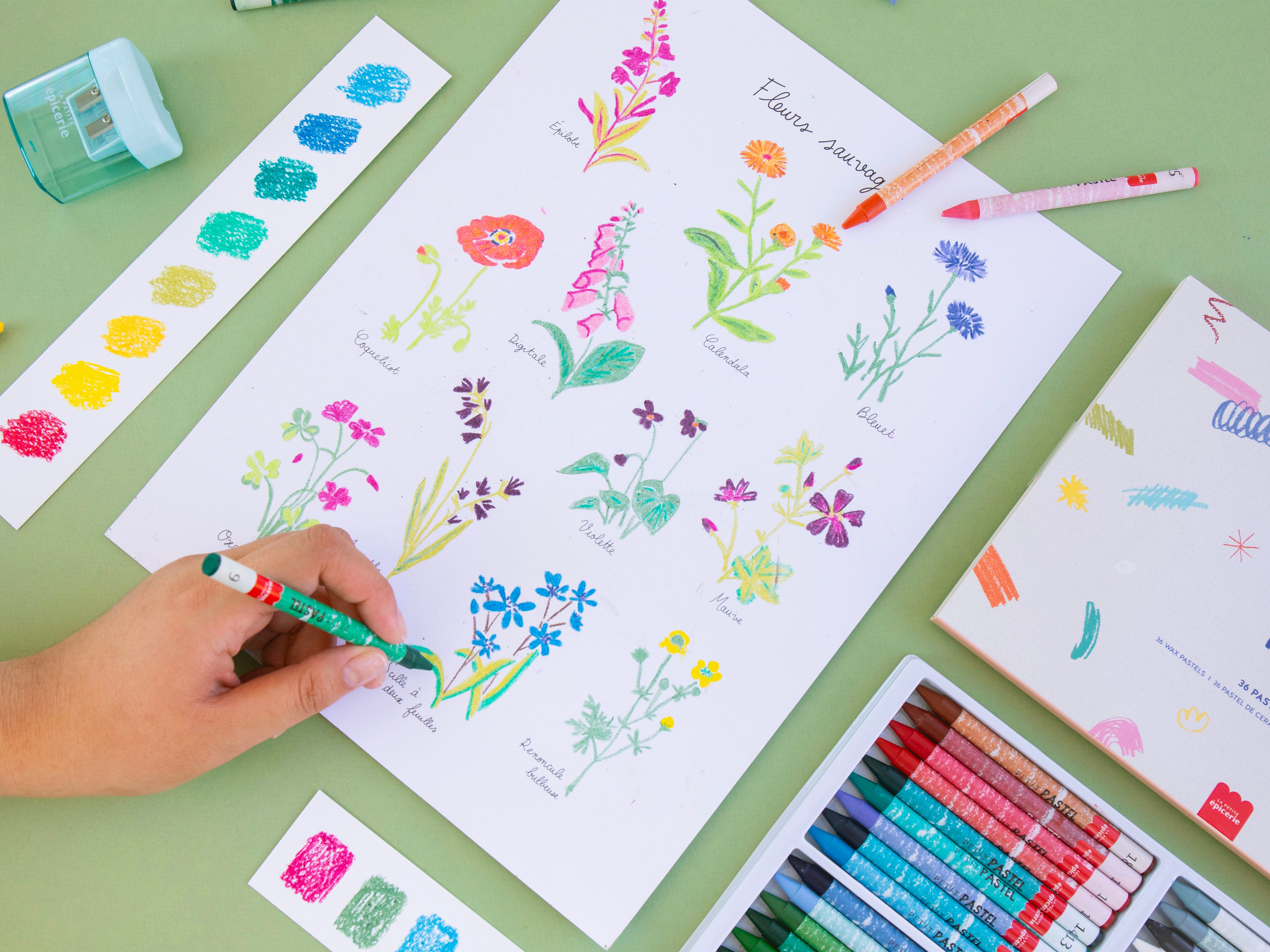 Kit de Pastels au numéro - Fleurs sauvages