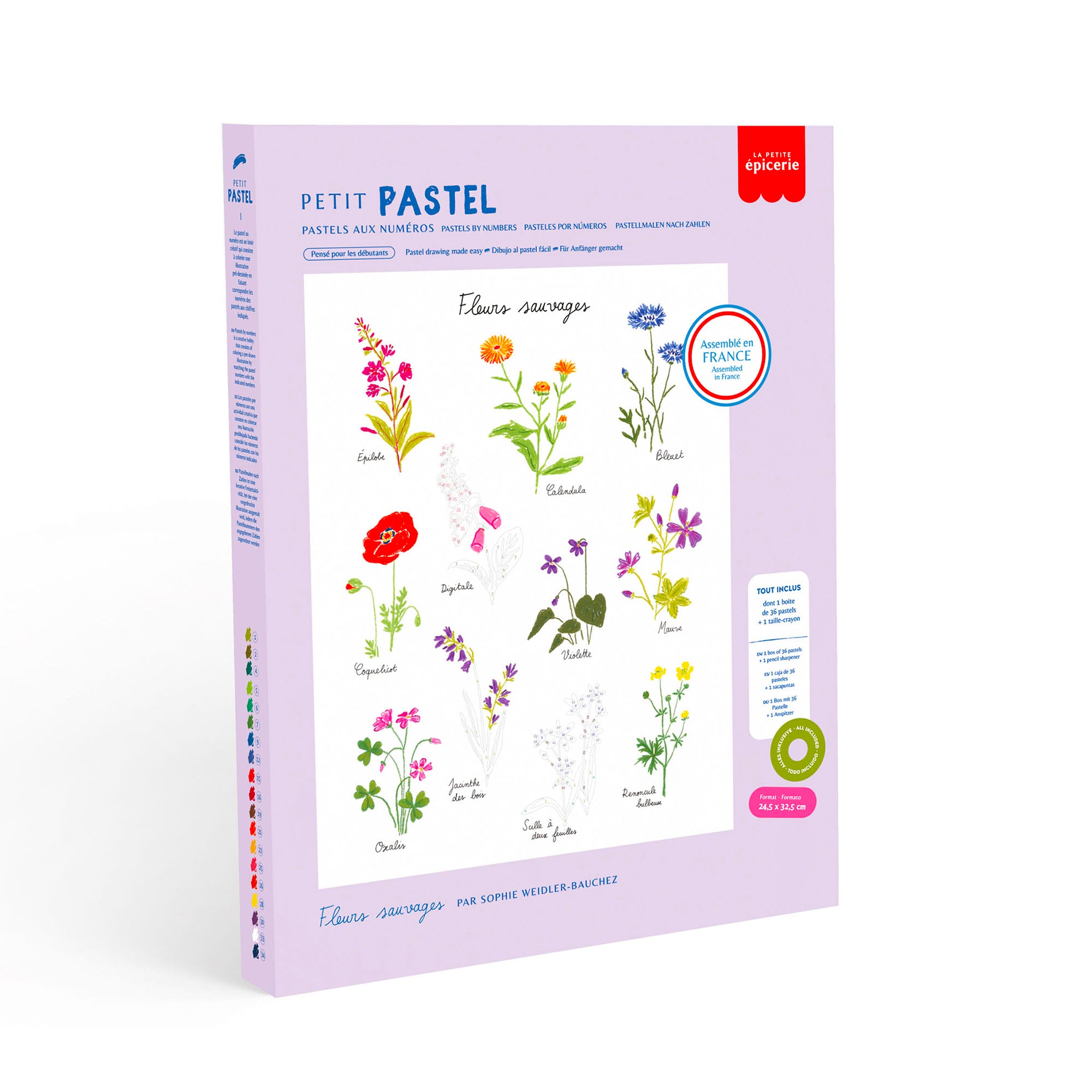 Kit de Pastels au numéro - Fleurs sauvages